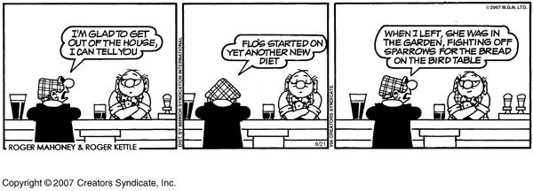 andycapp